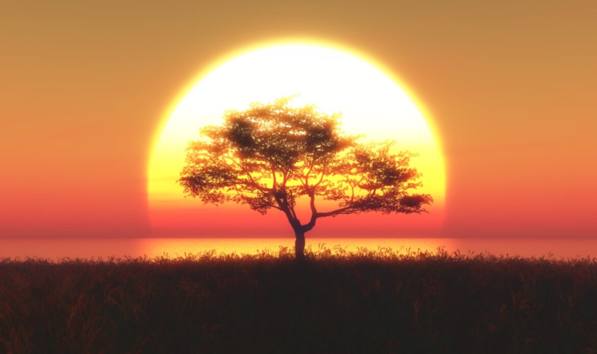 Je M’appelle Amazing Africa